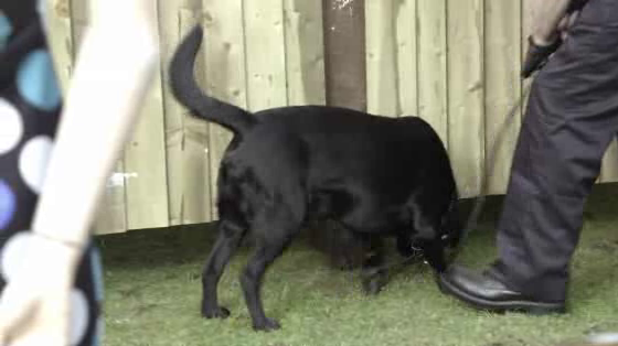 Confidante: Sniffers