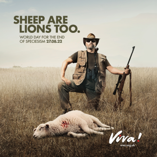 Viva!: Trophy Hunters