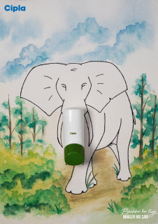 Cipla: Animals