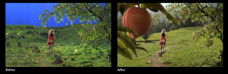 Muller: Thank you nature
