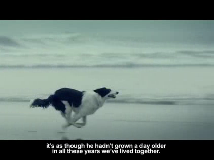 Toyota: Dog