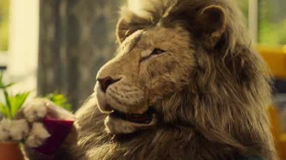 Ikea: Lion Man