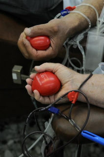 Peres Centre for Peace: Blood Relations Project