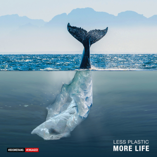 Great Cause: Less Plastic More Life