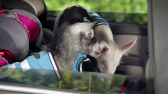 Ziploc: Little Beasts: Carpool
