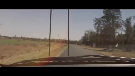 Transport for NSW: Sam Bailey's Story