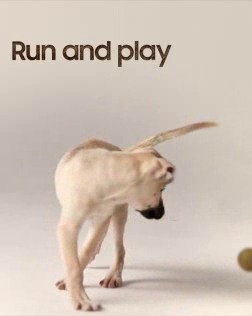 Samsung: Tamra The Puppy