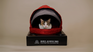 Molly’s Pet Shop: Hood House
