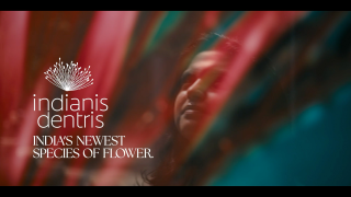 Colgate: Indianis Dentris - India's Newest Flower Species