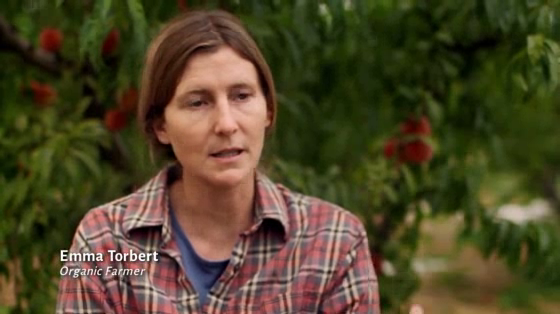 Cascadian Farm: Flower Bombing