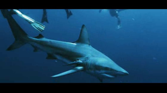 Continente: Fear