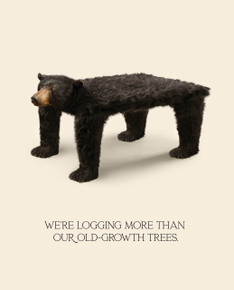 Living Forest Institute & The Only Animal:  Logging more than trees - Table