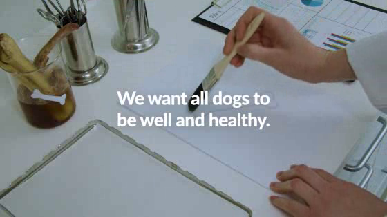 FirstVet: Smelly Ads