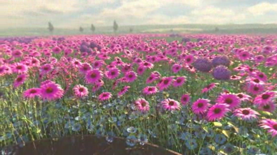 Cancer Research UK: Legacy Garden