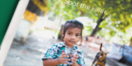 Clean Drinking Water: Spot The Killer - Wild Dog