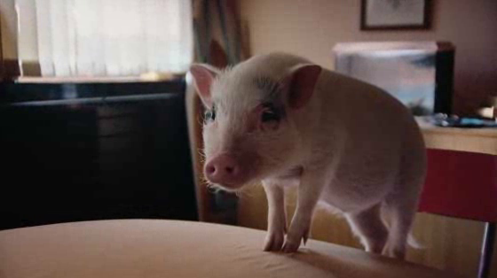 La Vie: Everything You Love About Pork