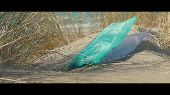 Surfrider Foundation: Holidays