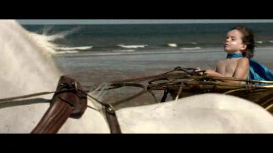 Haven Holidays: The Beach Boy
