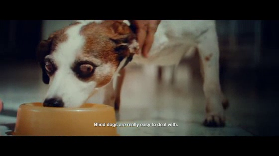 Pedigree: Human Guides