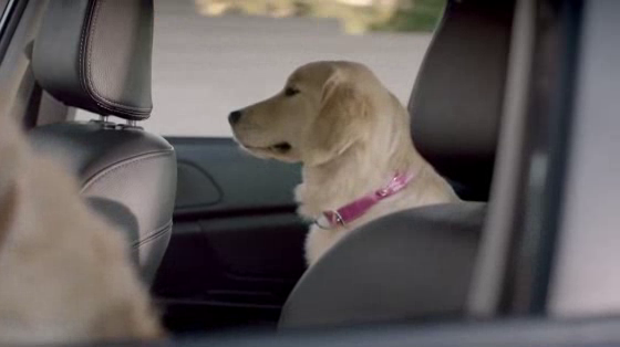 Subaru: Whats the Fuss About?