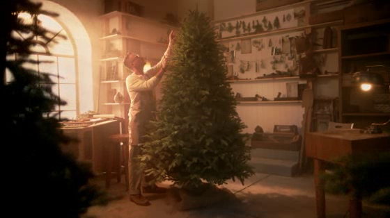 Balsam Hill: Tale of the Tree