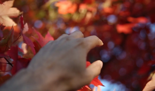 The Nature Conservancy (TNC): Products of Tomorrow - Apple