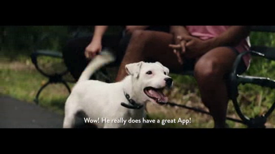 Peloton: Such a Great App