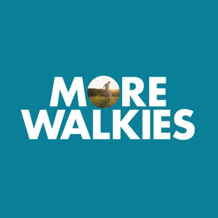 LiveLighter: More Walkies