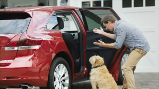 Herb Chambers Automotive: Bad Dog