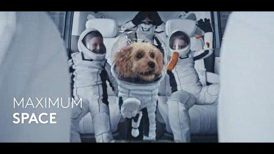 MAXUS: TAKE IT TO THE MAX