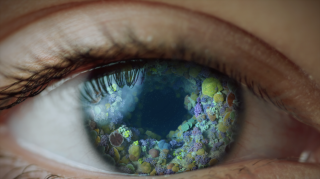 Great Reef Census: Focus