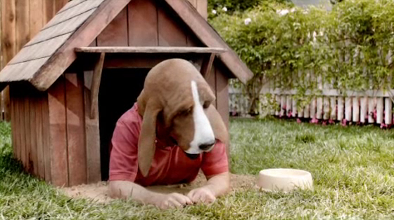 Pert Plus: Dog