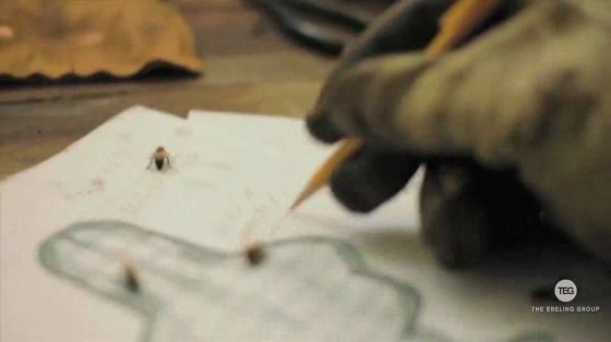 Highlander Honey: 3-BEE PRINTING PROJECT