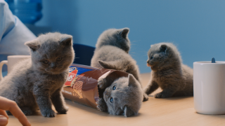 McVitie's: Sweeet - Chocolatey Snuggles