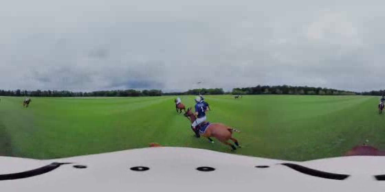 Piaget: The Piaget Polo Experience