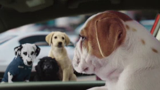 Carmax: Slow Bark