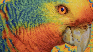 Turner Colour Works: Colours of life