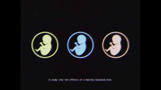 Meat and Livestock Association: The Trinity Experiment