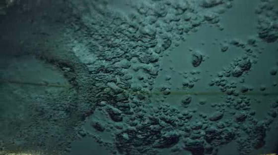 World Surf League: Chaos Theory
