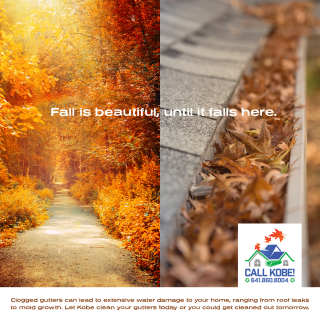 Call Kobe!: Fall
