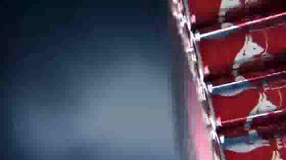 Red Bull: Flight