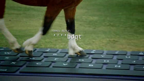 Inspired by Iceland: OutHorse Your Email to Iceland’s Horses