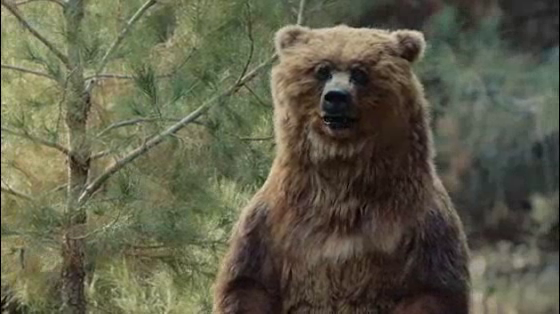 GEICO: Forest: Fast Forward