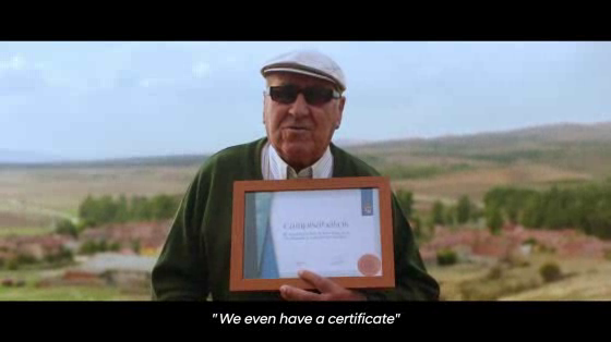Hyundai: Main film