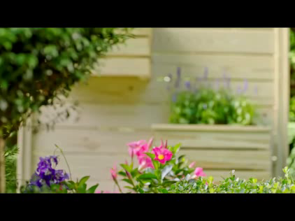 YellaWood: Pergola