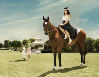 Racing & Wagering WA (RWWA): LIFE'S BETTER WITH HORSES - Picnic Brunch