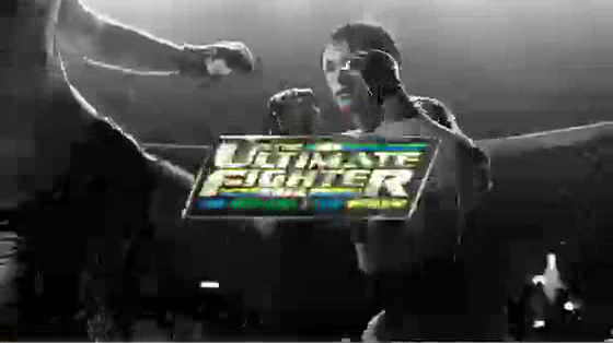 TNT: Punchface
