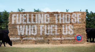 Gull Biofuel: Made By Cows