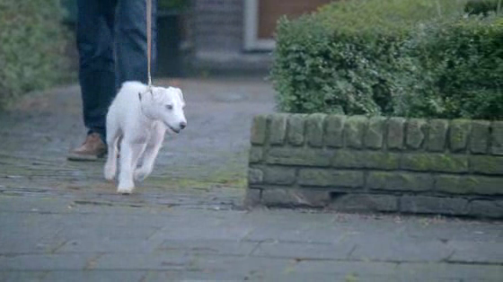 Volkswagen: Das Hund
