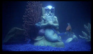 SportsNet NY: Fishtank